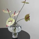 Lantern-style Glass Vase Home Decor Item - Image 6