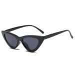 Retro Triangle Cat-eye Sunglasses - Image 4