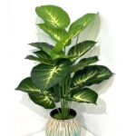 Simulation Green Plant 12-24 Head Beam Round Back Of Turtle Wall Decoration Garden - Image 8