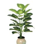 Simulation Green Plant 12-24 Head Beam Round Back Of Turtle Wall Decoration Garden - Image 9
